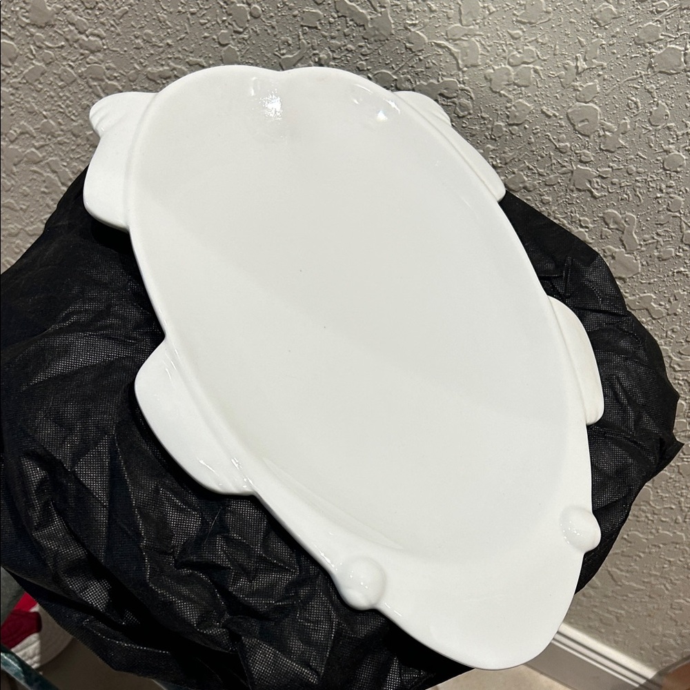 CERAMIC FROG SERVING PLATTER - NEVER USED